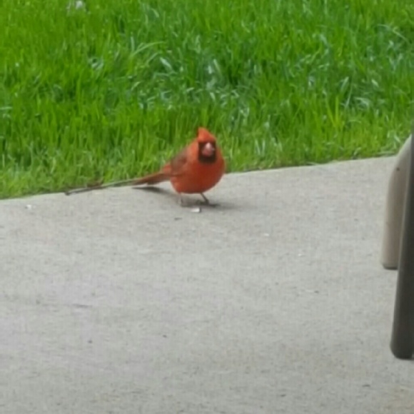 Meet your Posher, Jenni - Picture 1 of 1