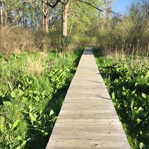 Meet your Posher, Kaity