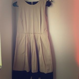 Classic Ann Taylor Loft Dress