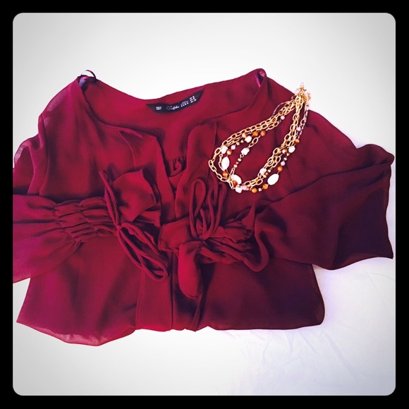 Zara sheer blouse