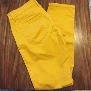 Ann Taylor LOFT pants