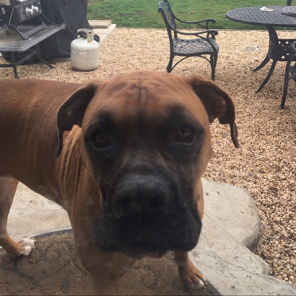 Meet your Posher, Danielle - Picture 1 of 1