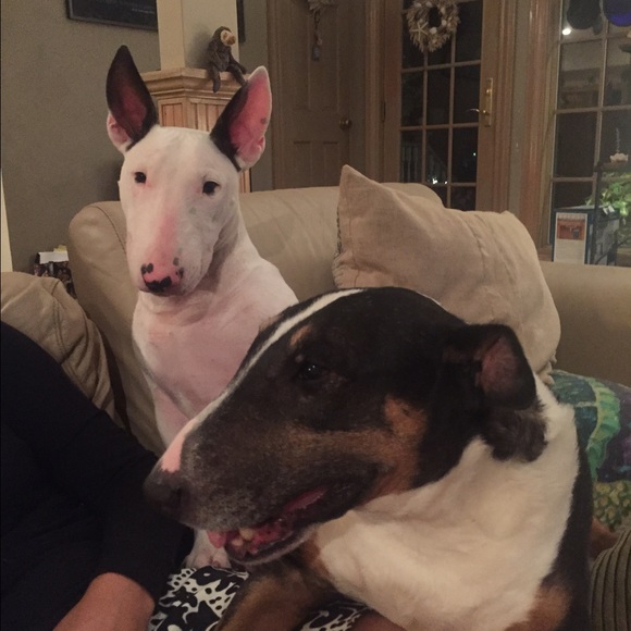 Meet your Posher, Kevin - Picture 1 of 1