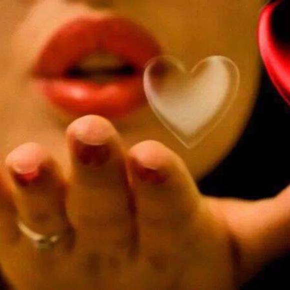 Meet your Posher, Mia - Picture 1 of 1