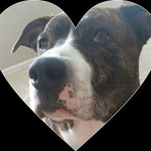 Meet your Posher, Connie