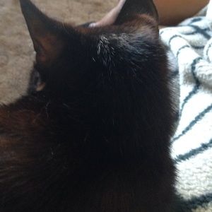 Meet your Posher, Cassie