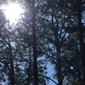 Meet your Posher, Ragean