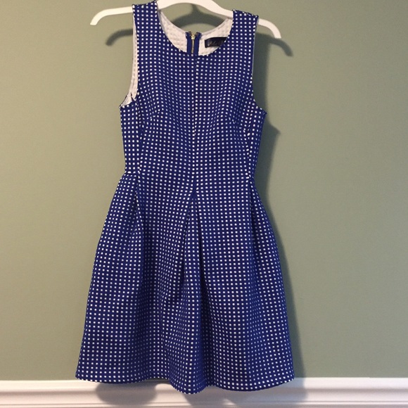 Francesca's Blue and White Gingham Dress