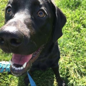 Meet your Posher, Rebecca