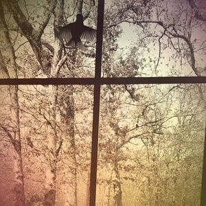 Meet your Posher, Pam