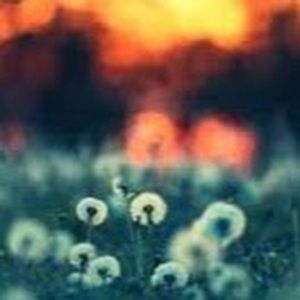 Meet your Posher, Ashka