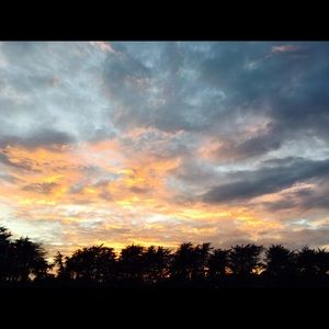 Meet your Posher, Jes