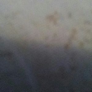 Meet your Posher, Sonia