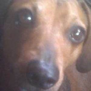 Meet your Posher, Shirley