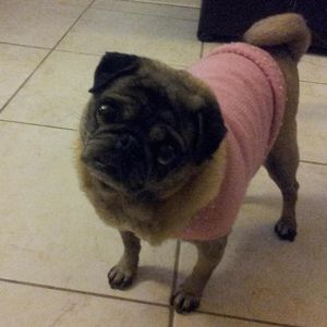 Meet your Posher, Jodi n fred