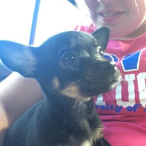 Meet your Posher, Charley