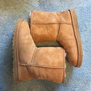 Short chestnut uggs