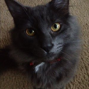 Meet your Posher, Jay