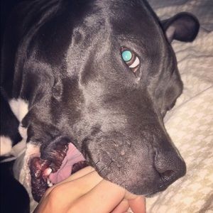 Meet your Posher, Kilee