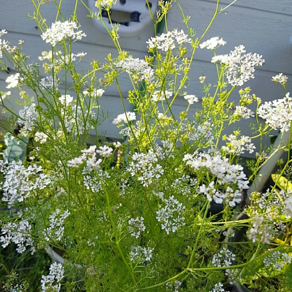 Meet your Posher, Ashprit