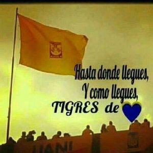 Meet your Posher, Perla