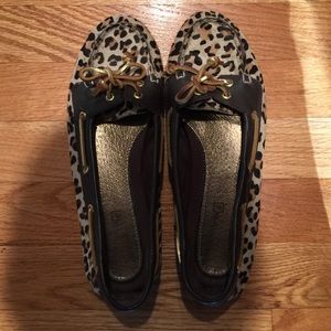 Cheetah sperrys