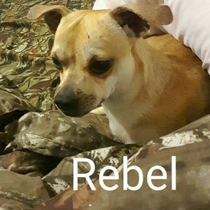 Meet your Posher, Bridget