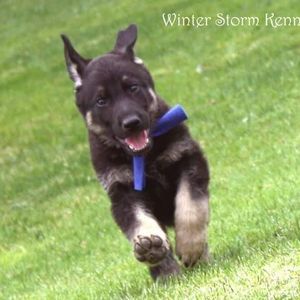 Meet your Posher, Karen