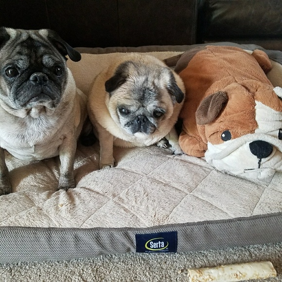 โ๐ป๐Meet your Posher, Celeste โ๐ป๐ - Picture 4 of 8