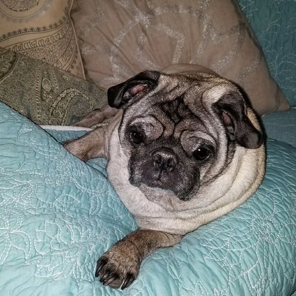 โ๐ป๐Meet your Posher, Celeste โ๐ป๐ - Picture 8 of 8