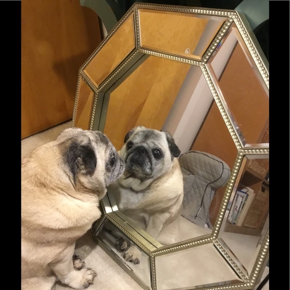 โ๐ป๐Meet your Posher, Celeste โ๐ป๐ - Picture 2 of 8