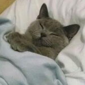 Meet your Posher, Angie