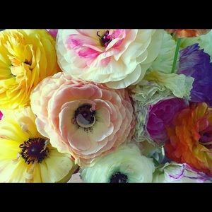 Meet your Posher, Carrie