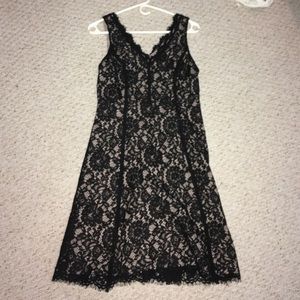 NWT Loft lace dress