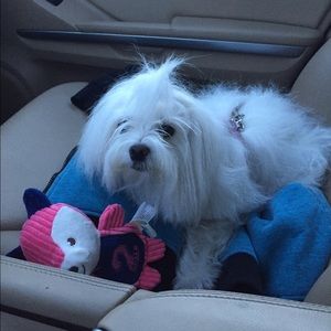 Meet your Posher, Antonio