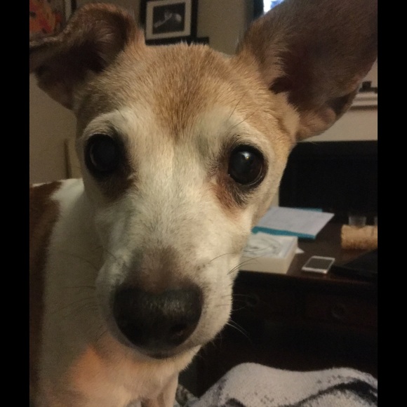 Meet your Posher, Kami