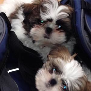 Meet your Posher, Marybeth