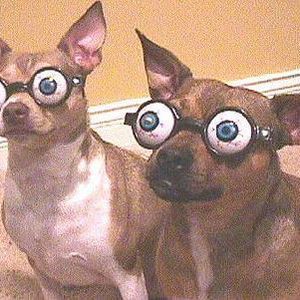 Meet your Posher, Joann