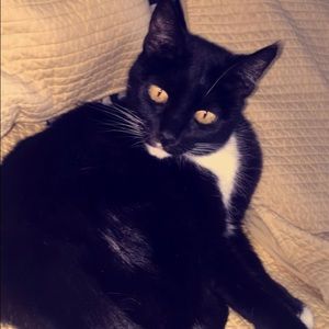 Meet your Posher, Nicole