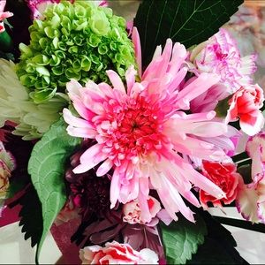 Meet your Posher, Claire