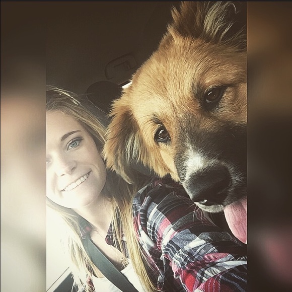 Meet your Posher, Reese - Picture 1 of 1