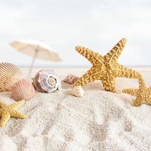 Meet your Posher, Chrissy