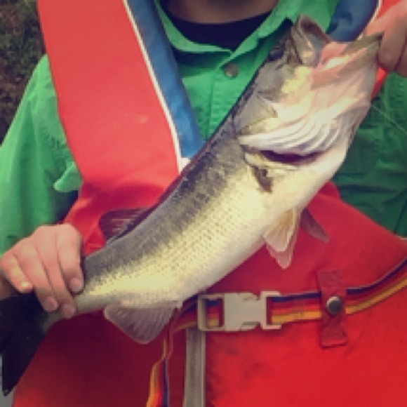 A fishy