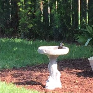 Meet your Posher, Noya