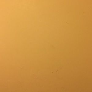 Meet your Posher, Jasmin