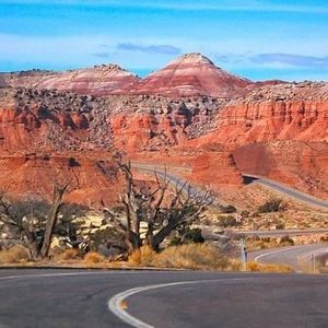 Meet your Posher, Dionna