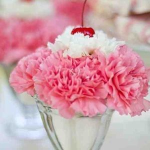 Meet your Posher, Roxana