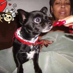 Meet your Posher, Yasmine