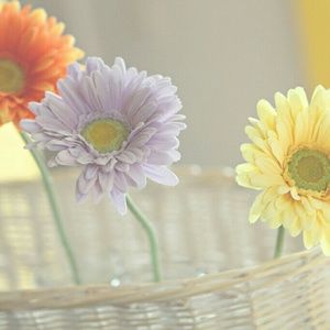 Meet your Posher, Kendra