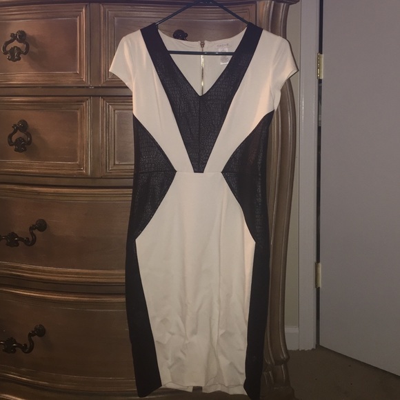 Beautiful cache dress NWOT